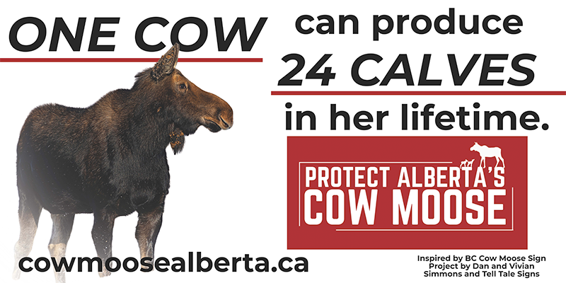 Sign Example for 36X48 and 48X96 sign white