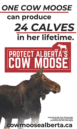 Sign Example for 18X30 sign white